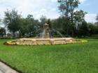 Ar118347017625069_l