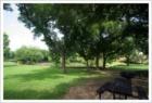 Picnic tables & benches and BBQ grills in Bentwood Park
