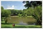 Pond in Bent Trail