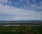 Tide is out at Birch Bay