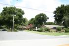 Buckhorn Oaks