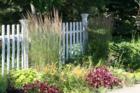 Beautiful summer flowers against a white picket fence, SouthGlastonbury