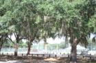 Bloomingdale Little League