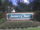 Summer Chase in The Summit