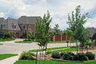 Landscaping at the Somerset