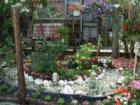 Some of the beauty and creativity of Fire Island, New York.  By Feng Shui Long Island, New York City