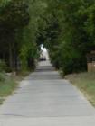 Walking back to town.  Long, narrow and lovely roads to walk---no cars allowed in Fire Island!  By Feng Shui Long Island, New York City