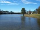 Community lake in Edgehill Farms, Cary NC