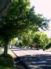 1300 East Street in Salt Lake City