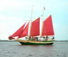 Down East Rover tours