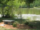 Pond with birds, place to sit