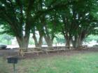 East Lampeter Park.  See the article on this park at my blog - courtesy of Jeff Geoghan