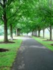 East Lampeter Park.  See the article with details on this park at my blog - courtesy of Jeff Geoghan