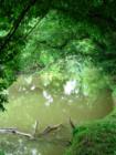 East Lampeter Park.  See the article with details on this park at my blog - courtesy of Jeff Geoghan