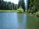 Fly-In Lake in Blue Lake Springs