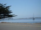 Bodega Harbor