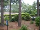 Myrtle Trace homeowners pool