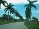 A palm tree lined street in West Sunrise, FL