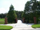 Gorgeous scenery in Westchase