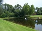 Calm pond in beautiful Westchase