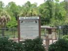 Paw Playground at A. L Anderson Park in Tarpon Springs Florida - one of many in Pinellas County