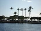 Beautiful palms make up the skyline at Magic Island