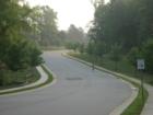 Looking down from tree onto Constitution