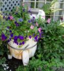 Cornwall Park neighborhood garden, yard art