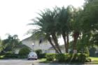 Ashley Oaks Clubhouse