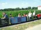 Conestoga Day at Grassville Farm.  Photo by Brian Schulman