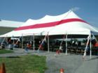 Conestoga Day at Grassville Farm.  Photo by Brian Schulman