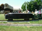 Conestoga Day at Grassville Farm.  Photo by Brian Schulman