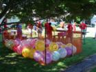 Conestoga Day at Grassville Farm.  Photo by Brian Schulman