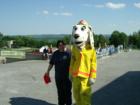 Conestoga Day at Grassville Farm.  Photo by Brian Schulman