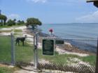 Picnic Island in Tampa has a great Dog Park right on Tampa Bay - loves seem to love it. 