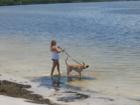 Tampa Florida is a Dog Friendly place with a number of local paw playgrounds and places to play with your dog like on the bay here. 