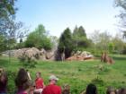 Giraffes!  And Antihills!  At the North Carolina Zoological Park, Asheboro, NC