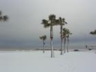 Christmas Snow Galveston 2004