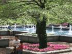 Garden beside the Museum in Grant Park