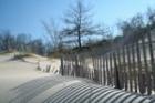Indiana Dunes National Lakeshore