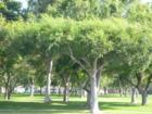 Nice place to picnic.  Lots of shade.