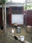 Chicken coup in Antimony, Utah