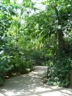 The Como Conservatory has many exhibits, including the tropical garden.