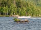 Summer Fun On Local Lakes!