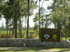 Highlands Hammock State Park