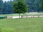 Manheim Township Community Park.  Visit Jeff Geoghan's blog for more details and directions.