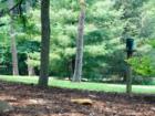Manheim Township Landis Woods Park & the Boettcher House Museum. Visit Jeff Geoghan's blog for more details and directions.