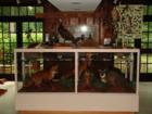 Manheim Township Landis Woods Park & the Boettcher House Museum. Visit Jeff Geoghan's blog for more details and directions.