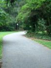 Manheim Township Landis Woods Park & the Boettcher House Museum. Visit Jeff Geoghan's blog for more details and directions.