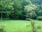 Manheim Township Landis Woods Park & the Boettcher House Museum. Visit Jeff Geoghan's blog for more details and directions.